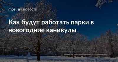 Как будут работать парки в новогодние каникулы