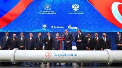Президент Сербии запустил подачу газа по сербской части «Турецкого потока»