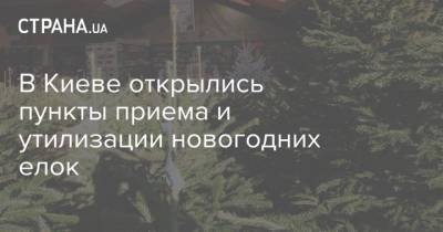 В Киеве открылись пункты приема и утилизации новогодних елок