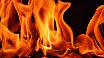 Пожар на улице Боровиковского в Пензе тушил 21 человек