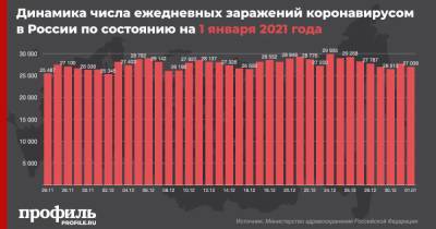 В России за сутки выявили 27039 новых случаев COVID-19