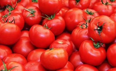 ABC (Испания): какие факторы влияют на вкус помидоров?