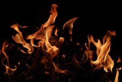 5 пожаров произошло в Тульской области