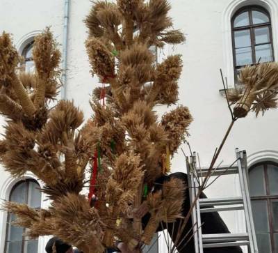 Львовские мастера изготовили рекордный Дидух для празднования Рождества (ФОТО)