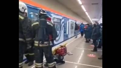 В Москве погибла женщина, упавшая с платформы на станции метро