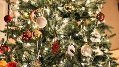 Топ-5 самых красивых новогодних елок в России