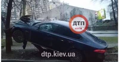Здравствуй, Новый год!: В Киеве автомобиль "Ягуар" повис на столбе (видео)