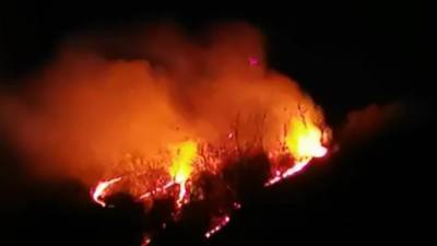 Пожар у горы Пикет дошел до Лазаревского района Сочи