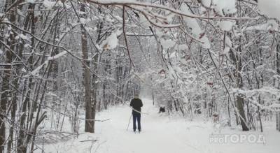 Прогноз от синоптиков Чувашии на январь: когда ждать снегопадов
