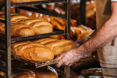 Экономист рассказал, что будет с ценами на хлеб nbsp