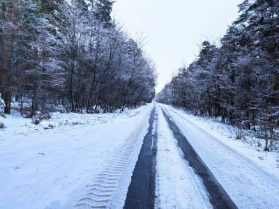 Обрушатся 15-градусные морозы: стало известно, когда в Украину придет настоящая зима