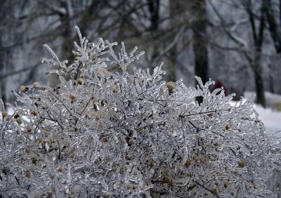 Рязанскую область накроет ледяным дождем