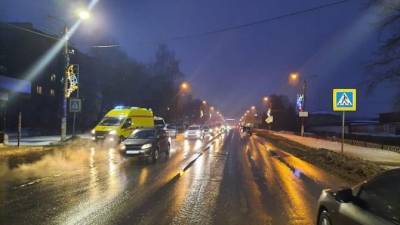 В Тульской области водитель сбил двух пешеходов и скрылся