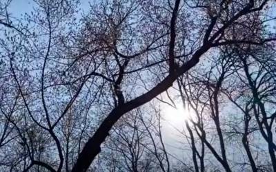 В Украину посреди зимы ворвется весна: Диденко ошарашила прогнозом на выходные - погода сошла с ума