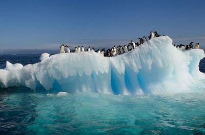 Станция в Антарктиде заявила о ЧП: ученые твердят, что такого еще не было
