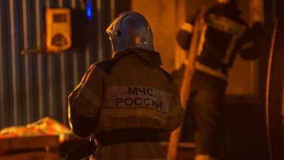 Родители выбросили трехлетнего ребенка из окна горящей квартиры в Купчино - newinform.com - Санкт-Петербург - Петербург