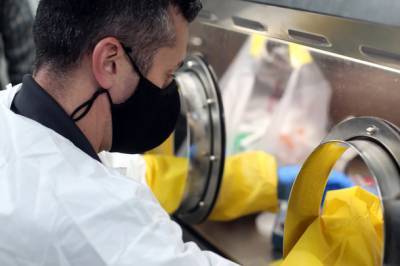 Минздрав: смертность от коронавируса в Израиле приближается к рекордной