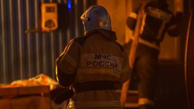 Трехлетнюю девочку вытолкнули из окна во время пожара в Петербурге