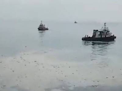 В Индонезии нашли обломки упавшего в море самолета