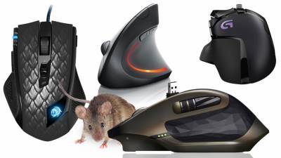 Как выбрать компьютерную мышь, чтобы не уставала рука