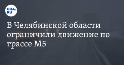 В Челябинской области ограничили движение по трассе М5