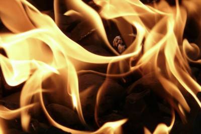 Четыре человека сгорели в жилом доме в Псковской области