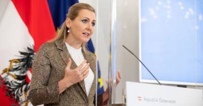 В Австрии министр труда ушла в отставку из-за обвинений в плагиате