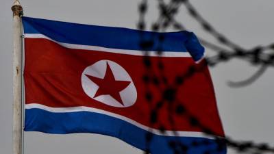 Северная Корея закрепила важность оборонной мощи в уставе Трудовой партии