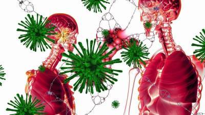 Ученые определили срок действия иммунитета к коронавирусу