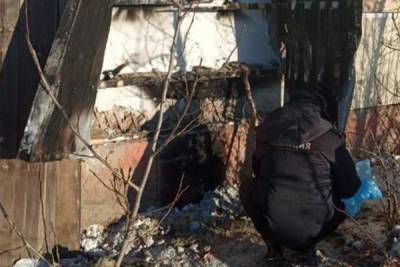 СМИ: три собаки погибли при поджоге приюта для животных в Улан-Удэ
