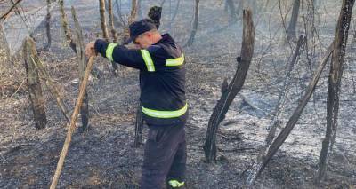 Лесные пожары в Грузии – работа по ликвидации проходит в режиме нон-стоп