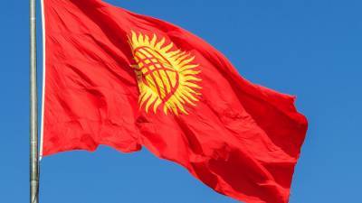 Глава ЦИК Киргизии сообщил о нарушениях на президентских выборах