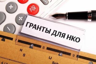 Тамбовские НКО в прошлом году получили почти 55 миллионов рублей