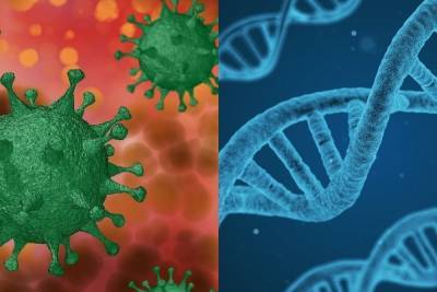 Биологи выявили способность коронавируса накапливать мутации