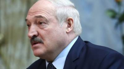 Лукашенко не будет проводить реформу конституции в 2021 году