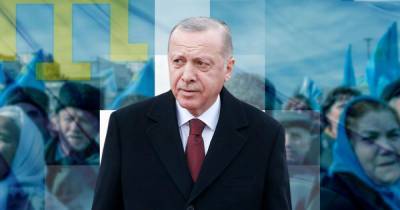 "Будем бороться за всех наших друзей": Эрдоган поздравил Зеленского с возвращением украинских моряков