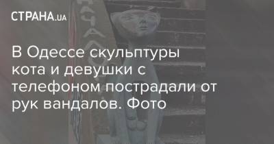 В Одессе скульптуры кота и девушки с телефоном пострадали от рук вандалов. Фото