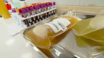 Более десяти тысяч москвичей стали донорами плазмы с антителами
