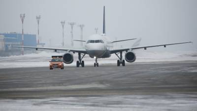 В аэропорту Ижевска из-за метели изменили расписание рейсов с Москвой и Санкт-Петербргом