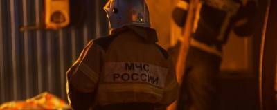 Жители Петербурга выбросили девочку из окна, спасая от пожара