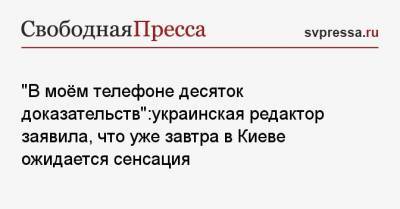 «В моём телефоне десяток доказательств»:украинская редактор заявила, что уже завтра в Киеве ожидается сенсация