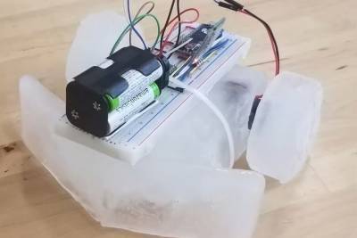 Американские ученые использовали лед для создания робота