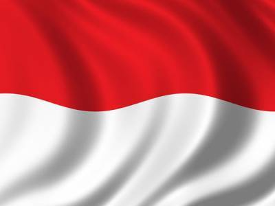 Упавший в Индонезии самолет при взлете проходил грозовой фронт