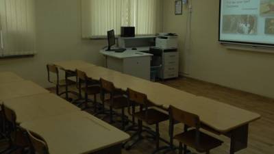 Школы Петербурга возобновят работу в очном режиме после каникул