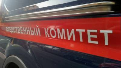 Расследованием смертельного ДТП с автобусами в Башкирии займется СК - newinform.com - Башкирия - район Салаватский