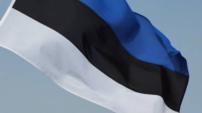 Главу парламента Эстонии возмутила идея референдума за присоединение к России