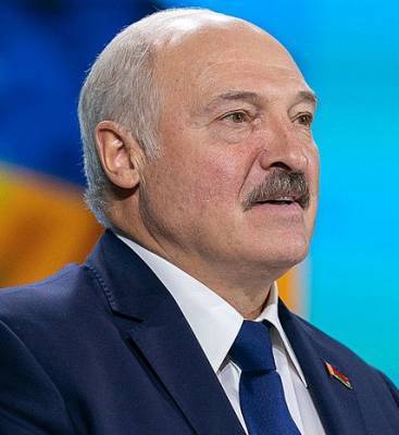 Сыновья Александра Лукашенко не намерены заниматься политикой
