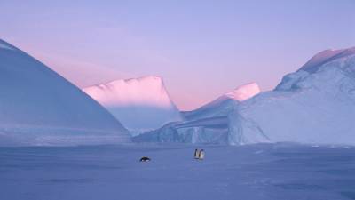 В США создали ледяного робота для изучения Антарктиды