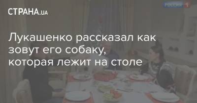Лукашенко рассказал как зовут его собаку, которая лежит на столе