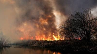 Прокуратура заинтересовалась последствиями мощного пожара в природном парке «Хасанский»